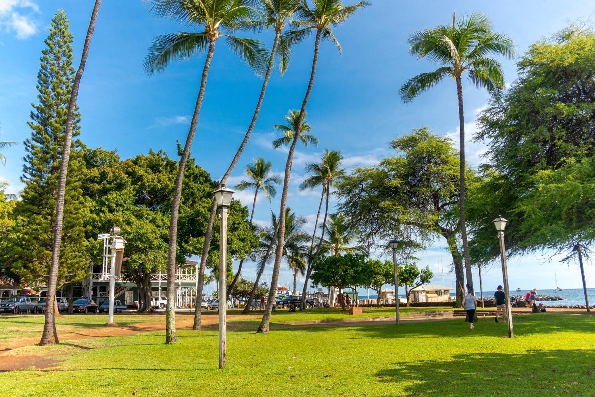 Paki Maui 222 Leilighet Napili-Honokowai Rom bilde